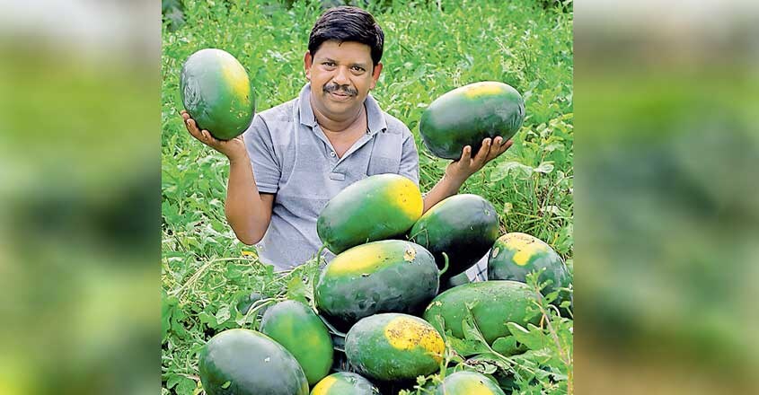 watermelon-1 watermelon-1