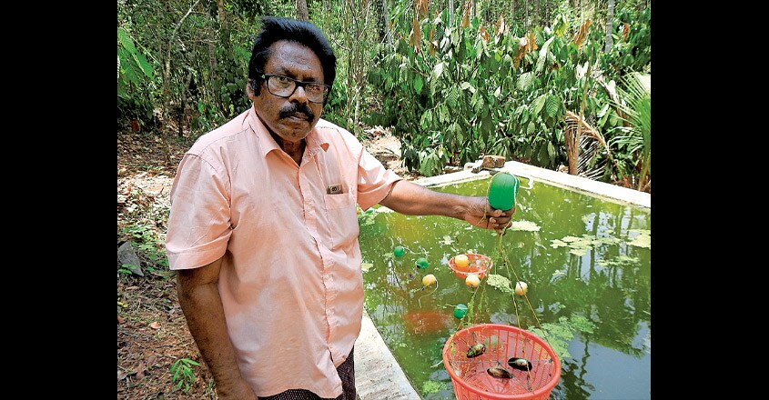 perul-farming perul-farming