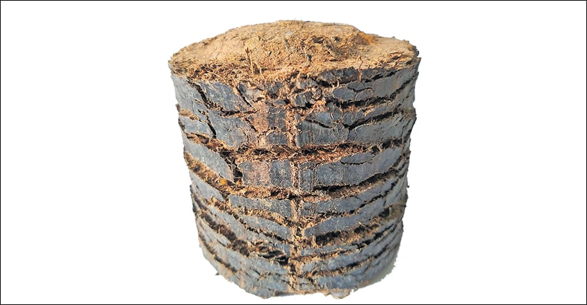 Briquette1 Briquette1