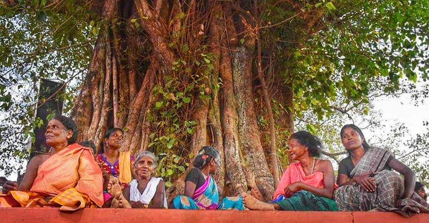 mannarcad-pooram4 mannarcad-pooram4