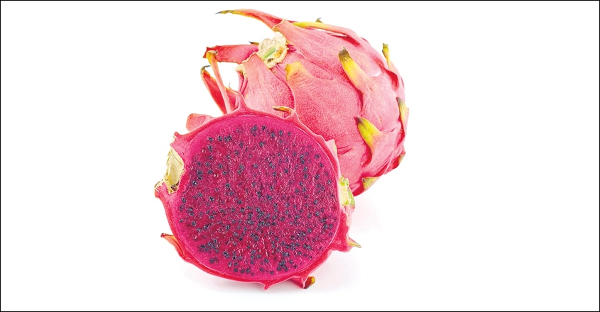 dragonfruit2 dragonfruit2