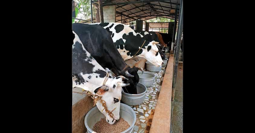 farming farming