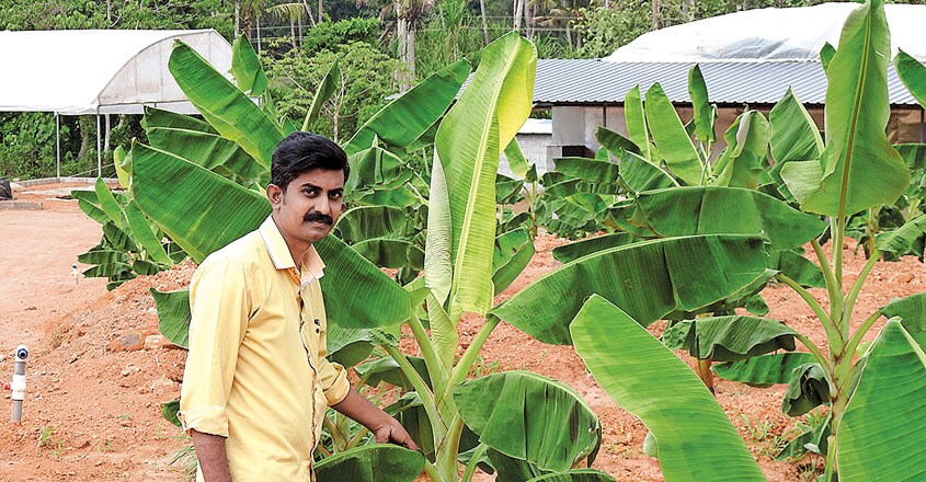 suman-thakkolkkaran1 suman-thakkolkkaran1