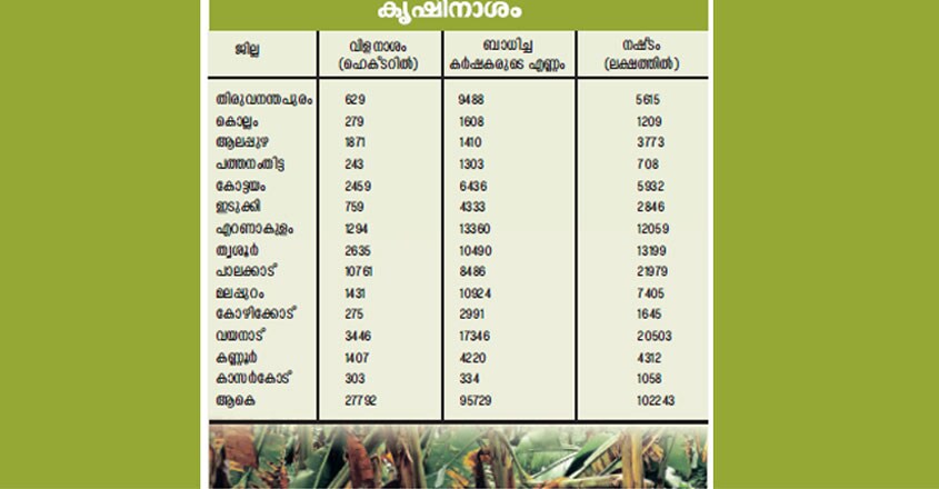 plantation plantation