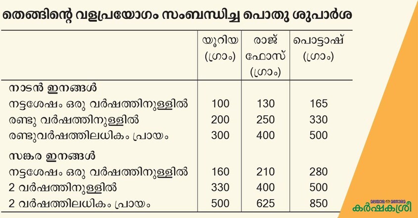 coconut-tree-fertilizer coconut-tree-fertilizer