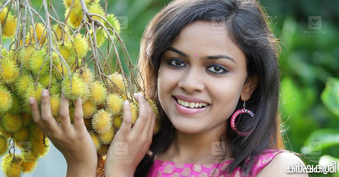 rambutan-fruit Rambutan