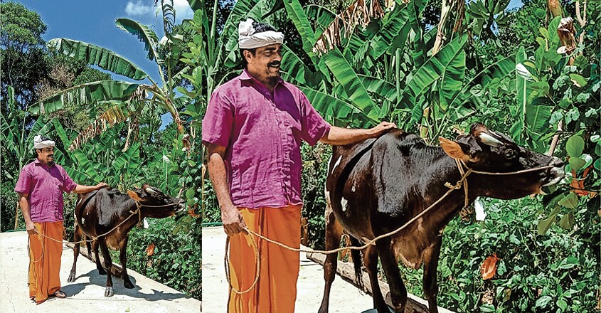 sadasivan sadasivan