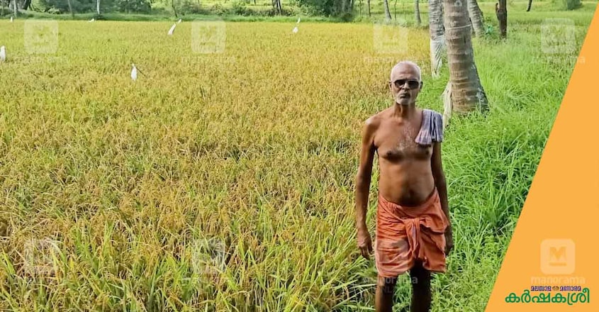 sachidhanandan-1 sachidhanandan-1