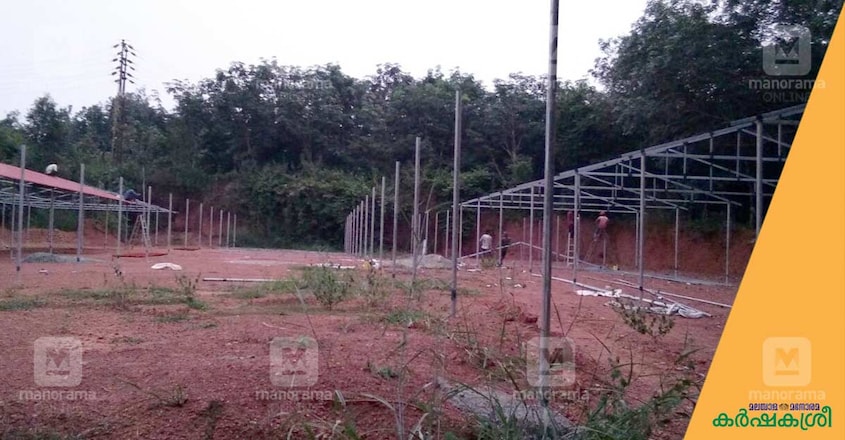 broiler-farm-shed-1 broiler-farm-shed-1