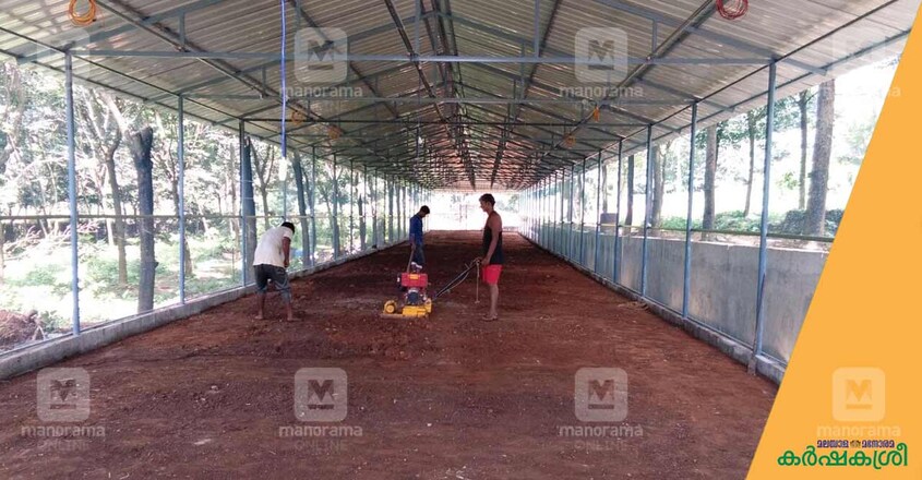broiler-farm-shed-inside-view broiler-farm-shed-inside-view