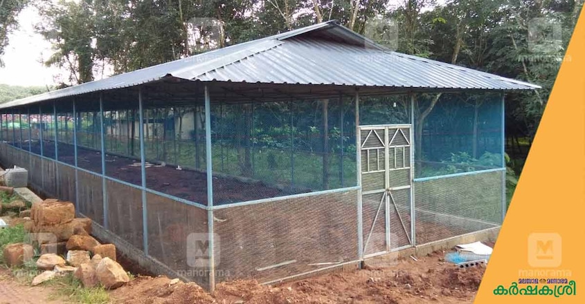 broiler-farm-shed-outside-view broiler-farm-shed-outside-view