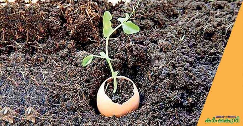 home-garden home-garden