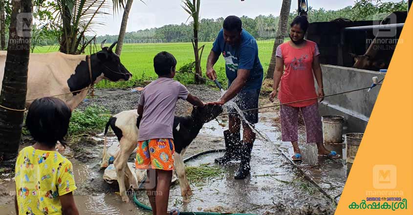 dairy-farm-2 dairy-farm-2