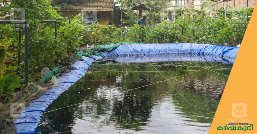 eco-farm-mannuthi-1 eco-farm-mannuthi-1