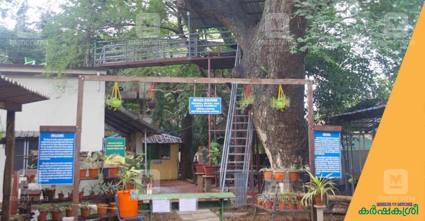 eco-farm-mannuthi eco-farm-mannuthi