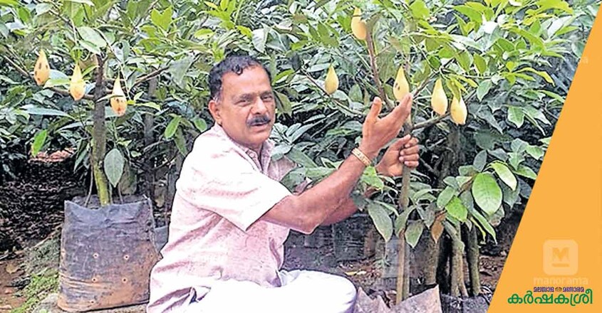 gopi gopi