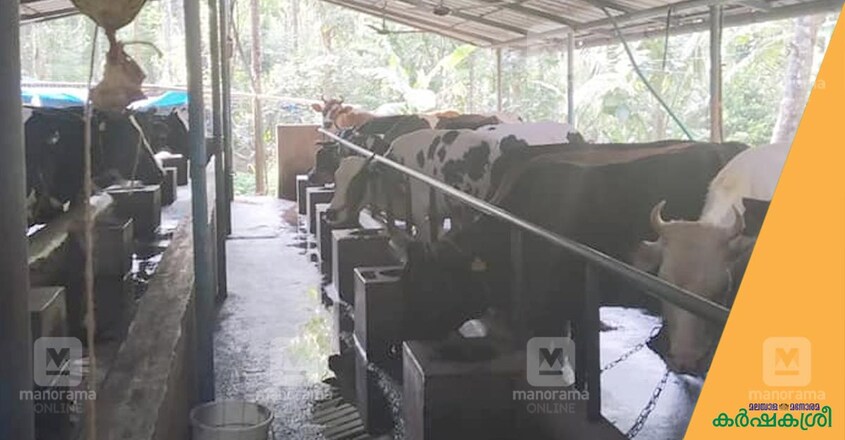 farm-4 farm-4