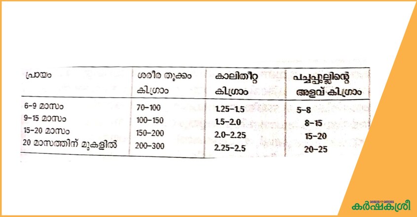 dairy-feed-formula-chart-2 dairy-feed-formula-chart-2