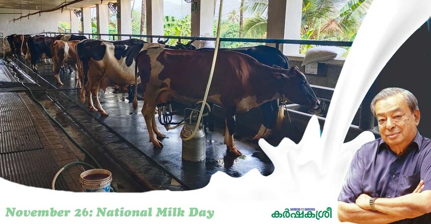 milk-dairy-farm-1 milk-dairy-farm-1