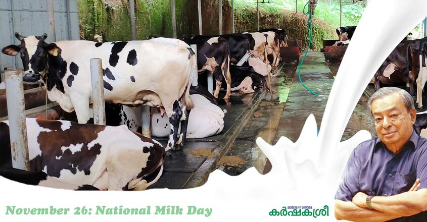 milk-dairy-farm-2 milk-dairy-farm-2