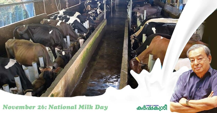 milk-dairy-farm-3