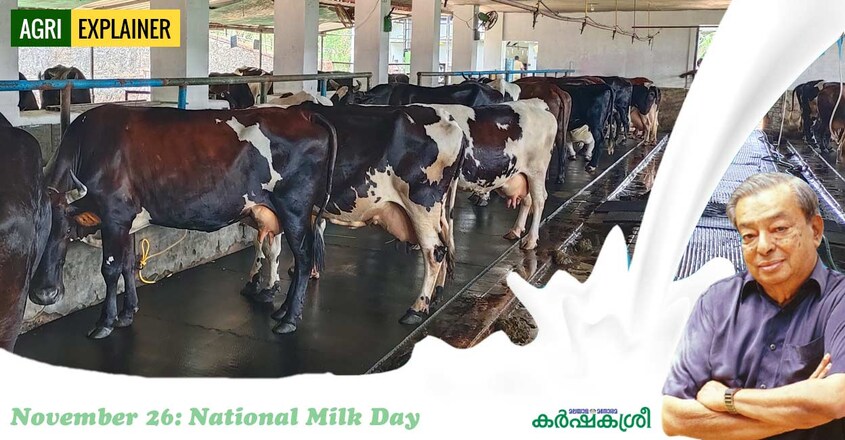 milk-dairy-farm