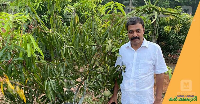 kc-fruit-farm-city-owner kc-fruit-farm-city-owner