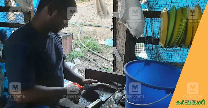 paramada-fish-farm-2 paramada-fish-farm-2