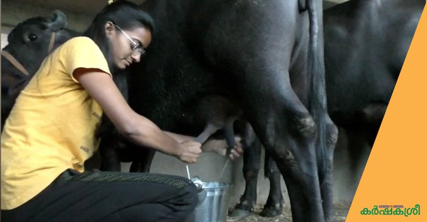 sharada-dairy-farmer-1 sharada-dairy-farmer-1