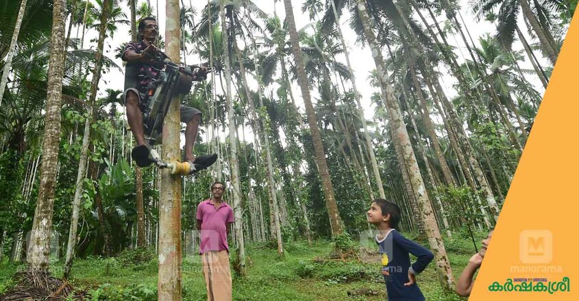 tree-climbing-bike tree-climbing-bike