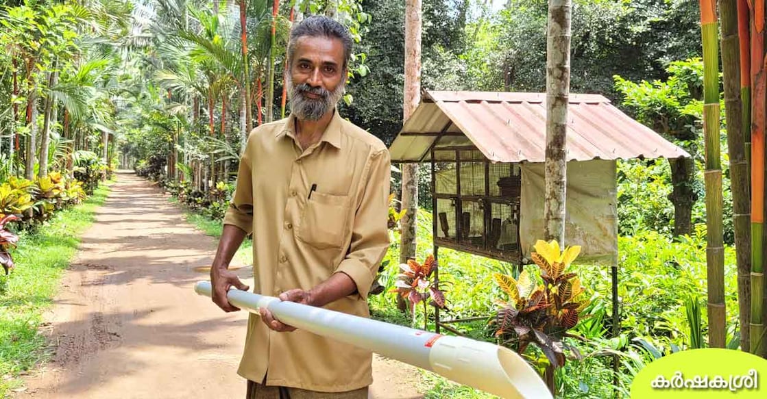 pepper-plucker ജോസ് പെപ്പർ പ്ലക്കറുമായി
