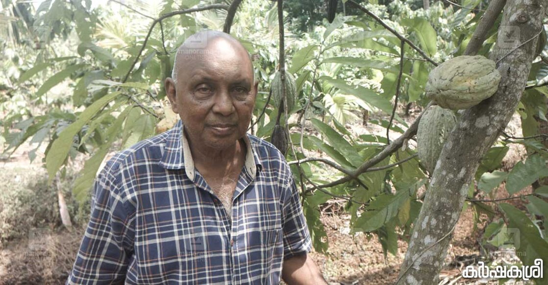 How A 73-Year-Old Farmer's Homestead Became A Multi-Crop Haven With Holland Model Farming How A 73-Year-Old Farmer's Homestead Became A Multi-Crop Haven With Holland Model Farming