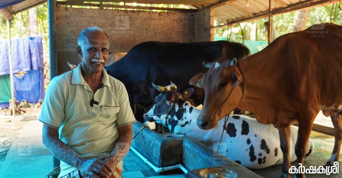 farmer-fights-for-cattle-feed-safety-main farmer-fights-for-cattle-feed-safety-main