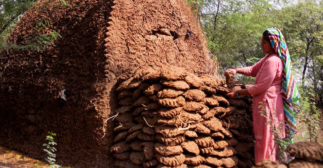 cow-dung Image credit: pixelfusion3d/iStockPhoto