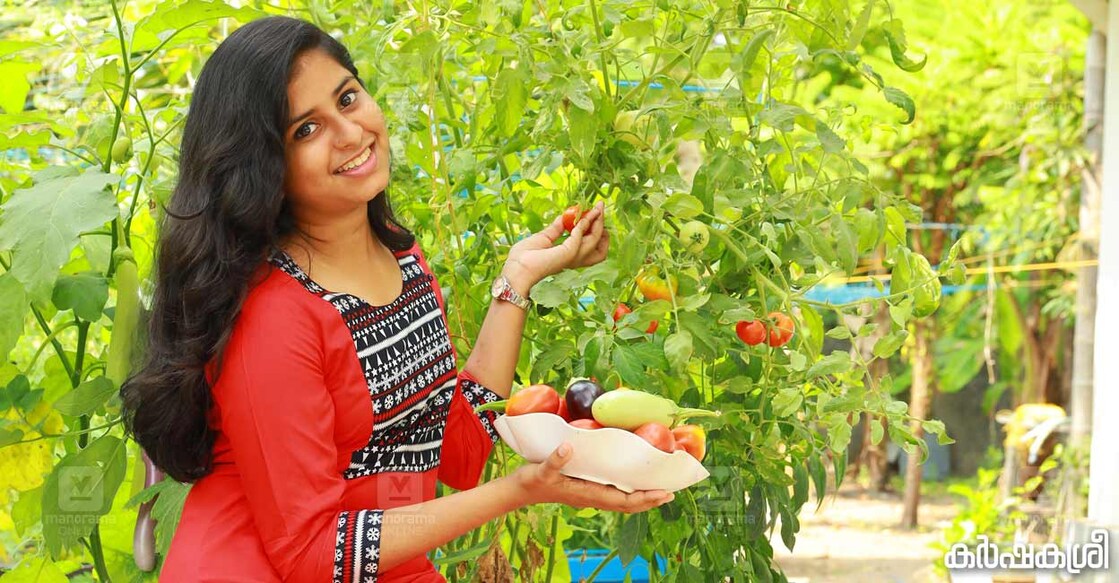 vegetables-1 vegetables-1
