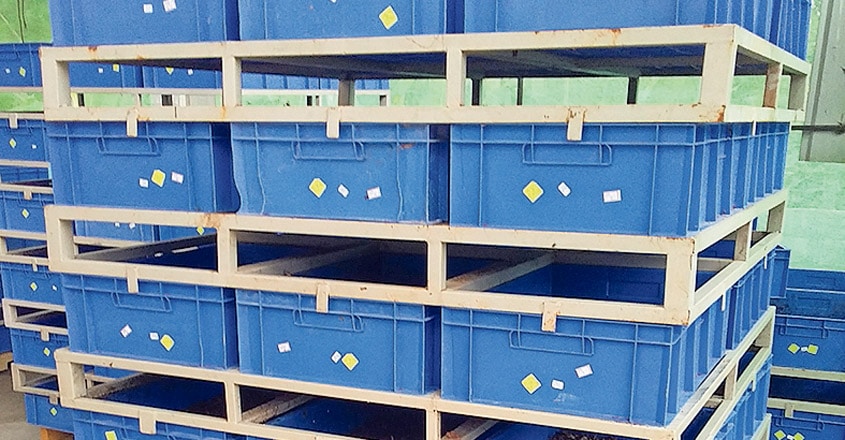 Black-Soldier-Fly-Biowaste-Processing2 Black-Soldier-Fly-Biowaste-Processing2