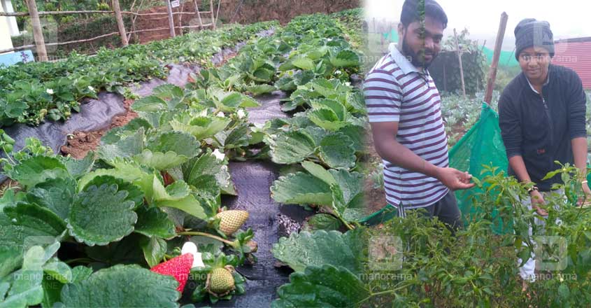 subhash subhash