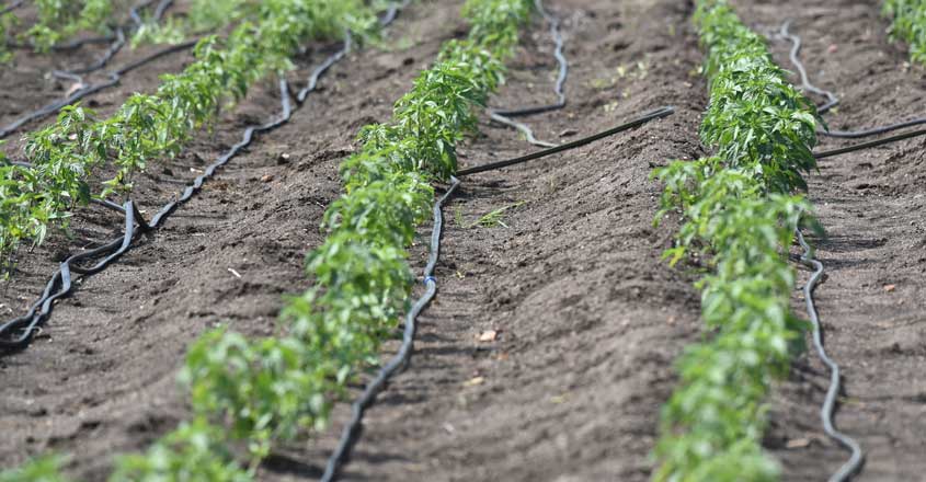 irrigation irrigation