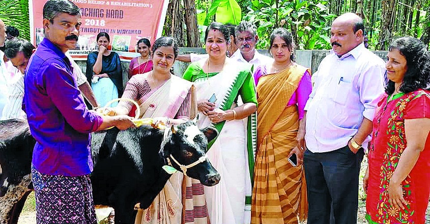 donate-a-cow-1 donate-a-cow-1