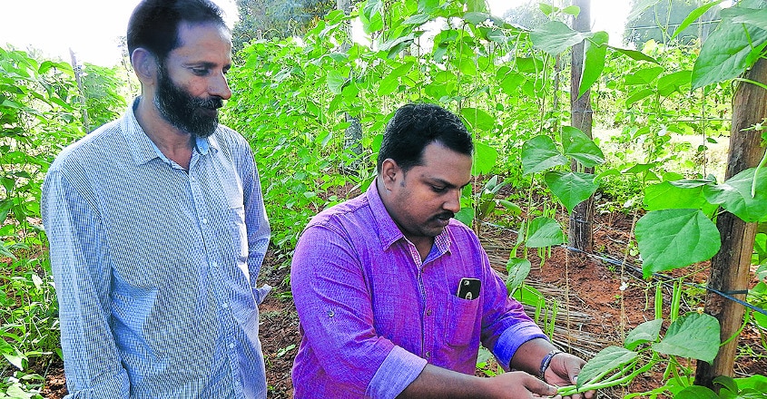 organic-farming-to-double-the-income1 organic-farming-to-double-the-income1
