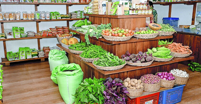 organic-farming-to-double-the-income6 organic-farming-to-double-the-income6