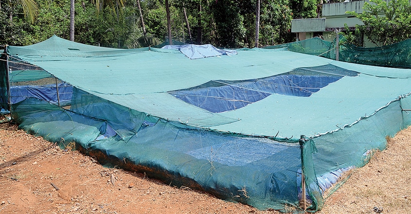 aquaponics-fish-farm2 aquaponics-fish-farm2