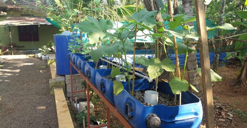 aquaponics1 aquaponics1