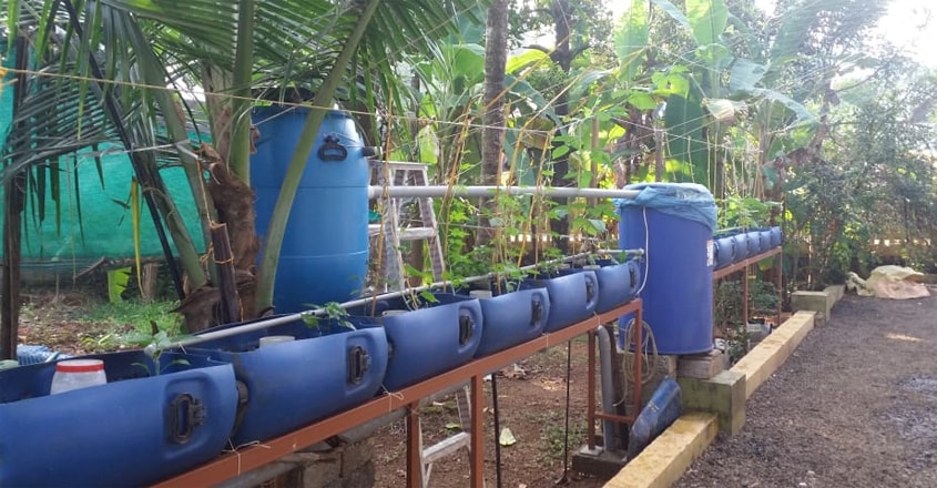 aquaponics2 aquaponics2