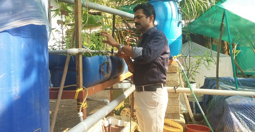 aquaponics4 aquaponics4
