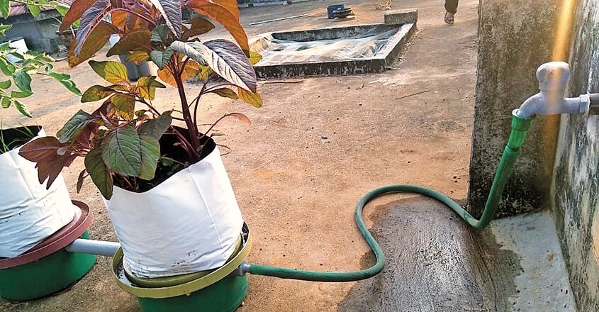 Thirinana Thirinana