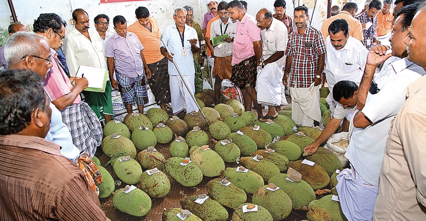 koothattukulam-market koothattukulam-market
