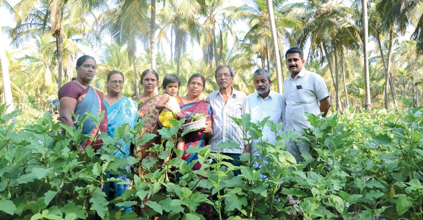 kannur-farm1 kannur-farm1