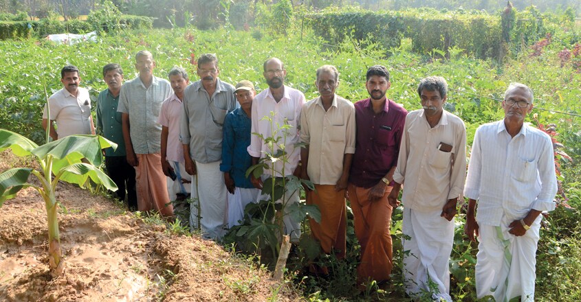 kannur-farm6 kannur-farm6