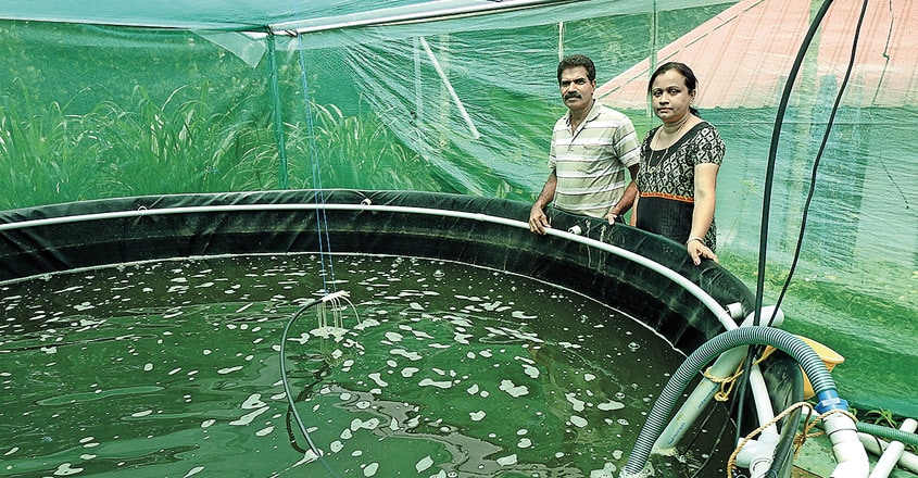 a-couple-who-interested-in-agriculture2 a-couple-who-interested-in-agriculture2